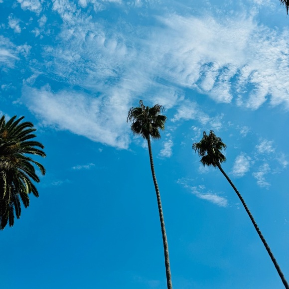 Hey! We’re the shop called Nickname! - Picture 3 of 9